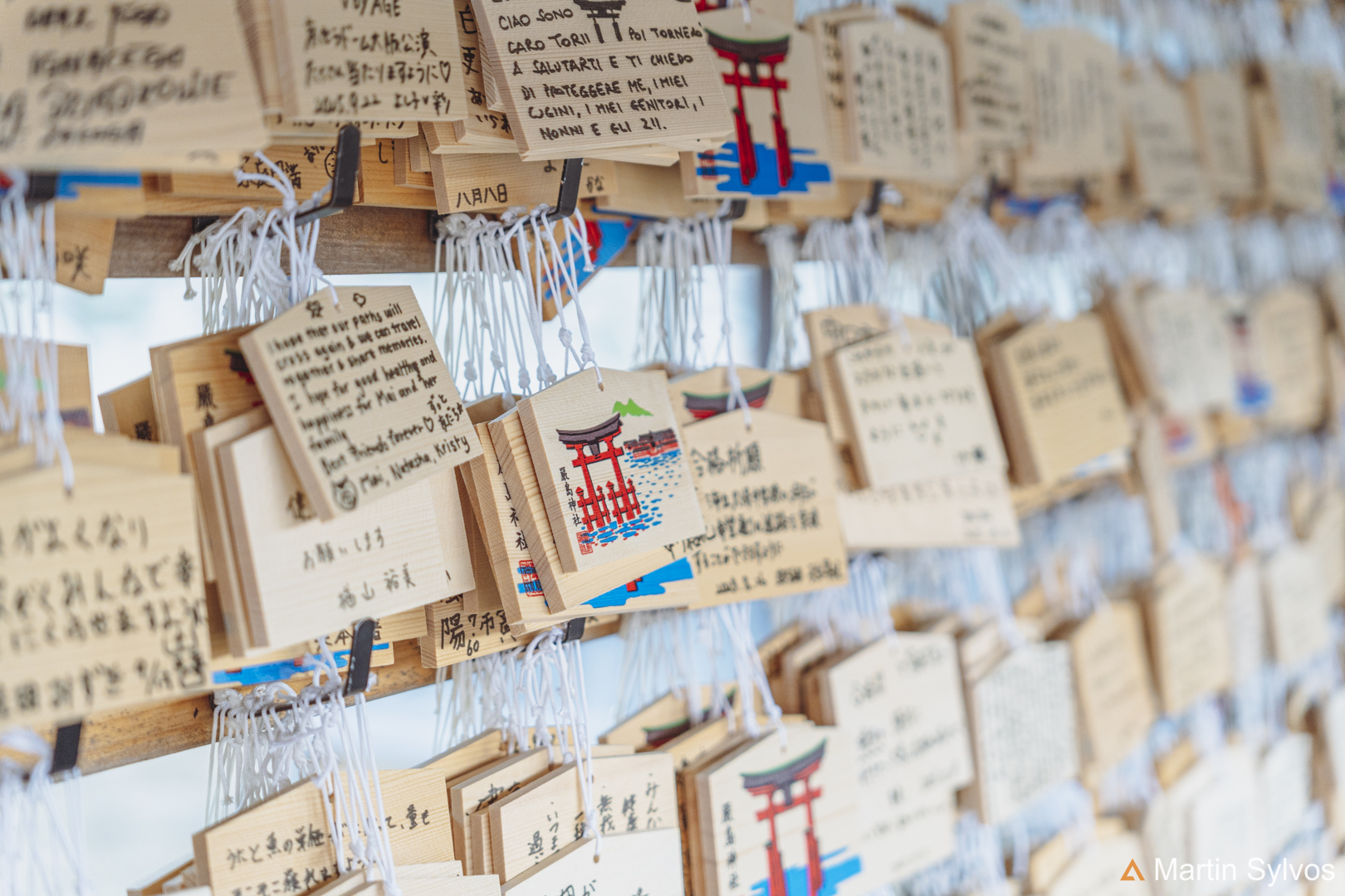 2025 Japon martin sylvos 15